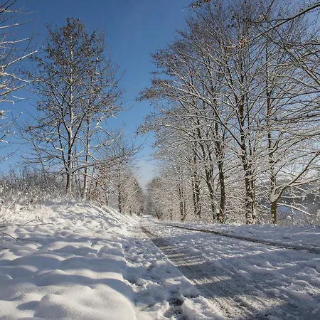 Lägenhet Welcome In - Fichtenweg 31-s I Mit Balkon Und Abstellraum Winterberg