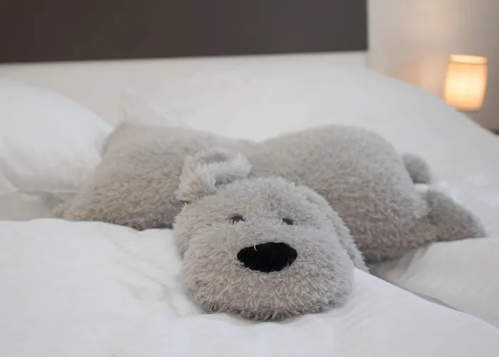 Welcome In - Met Balkon, Fiets- En Skiberging, Parkeerplaats Dichtbij Skipiste En Centrum Appartement Winterberg